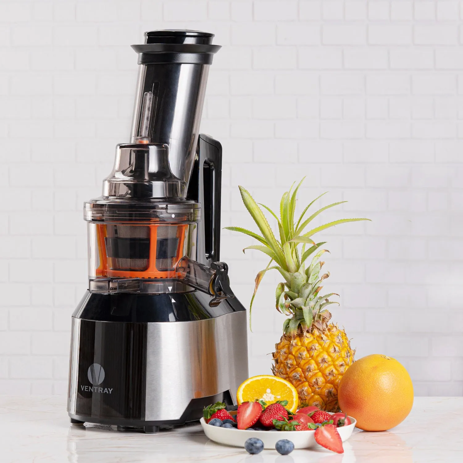 809 Slow Press Masticating Juicer