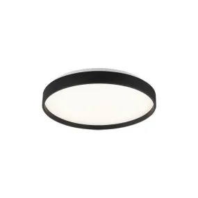 Alexandre Flush Mount