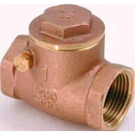 Brass Swing Check Valve, 1" - DCI 2839