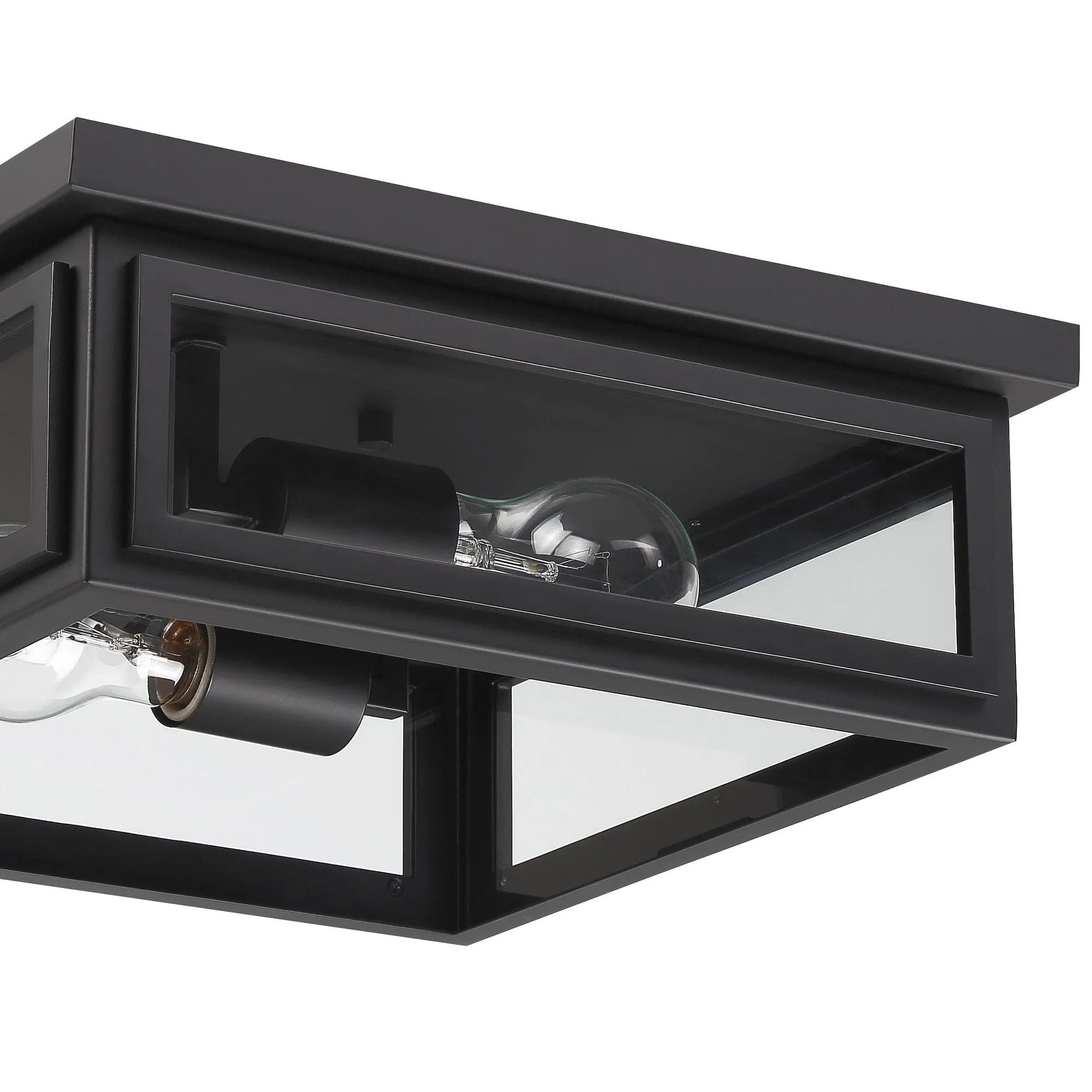 Byron 2 Light Outdoor Ceiling Mount