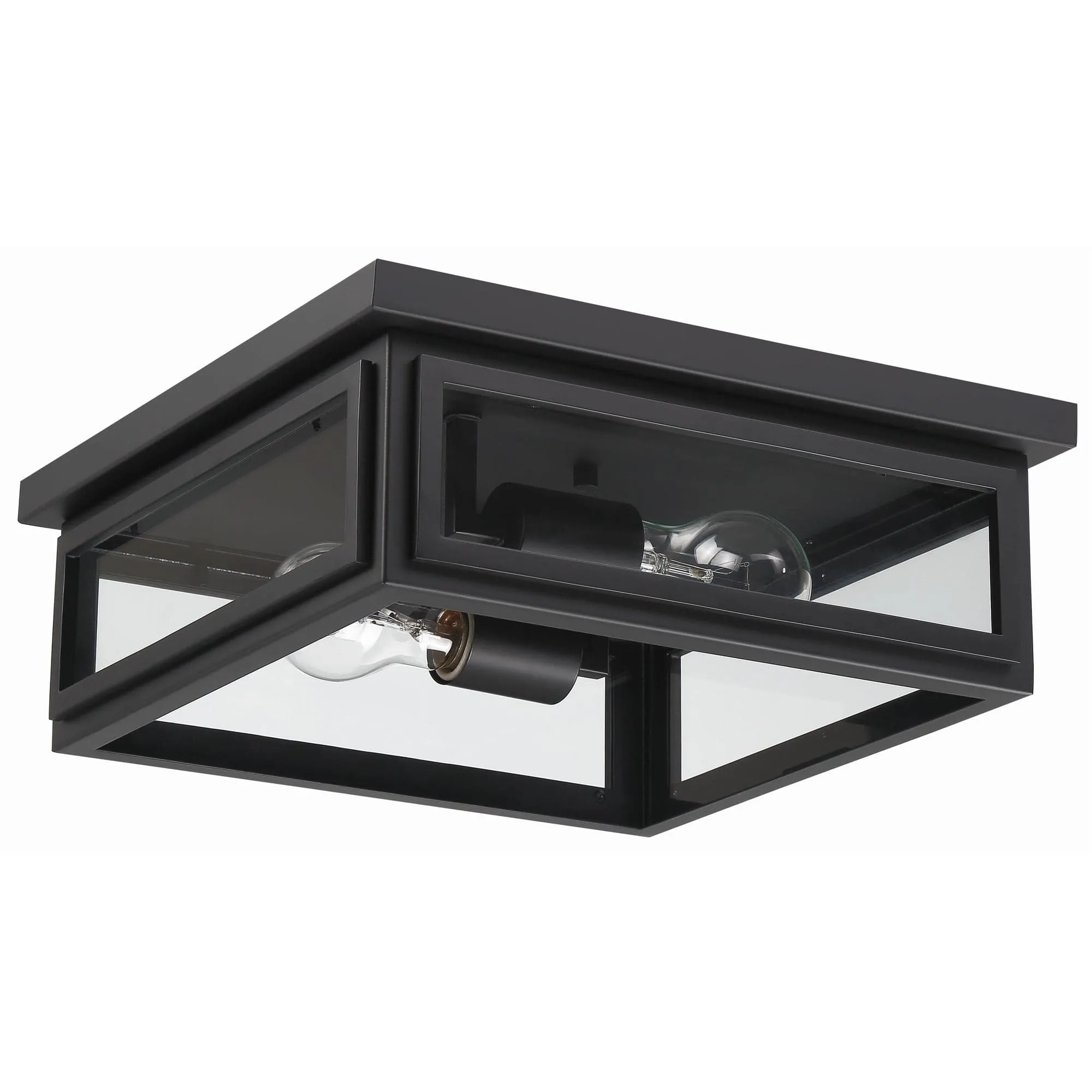 Byron 2 Light Outdoor Ceiling Mount