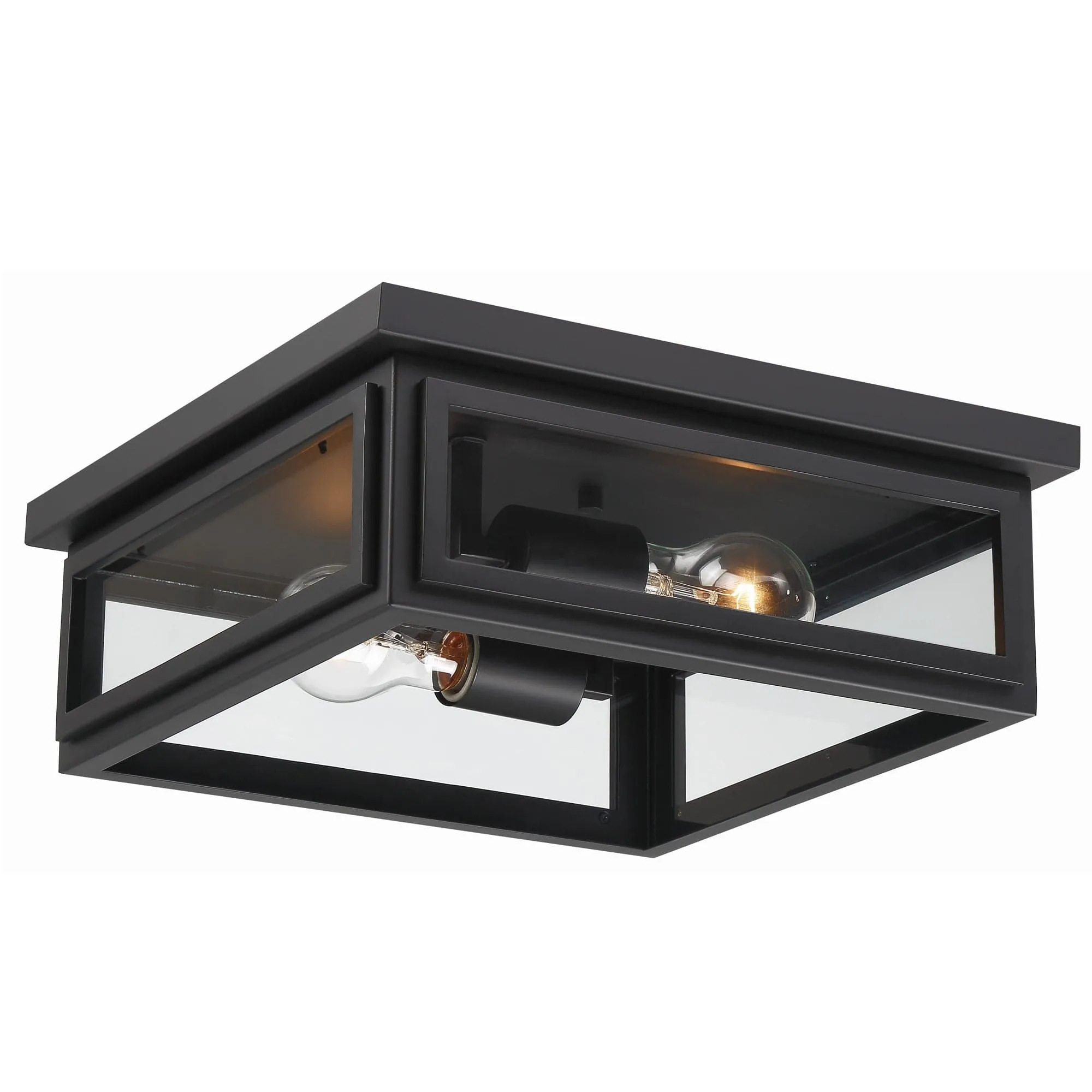 Byron 2 Light Outdoor Ceiling Mount