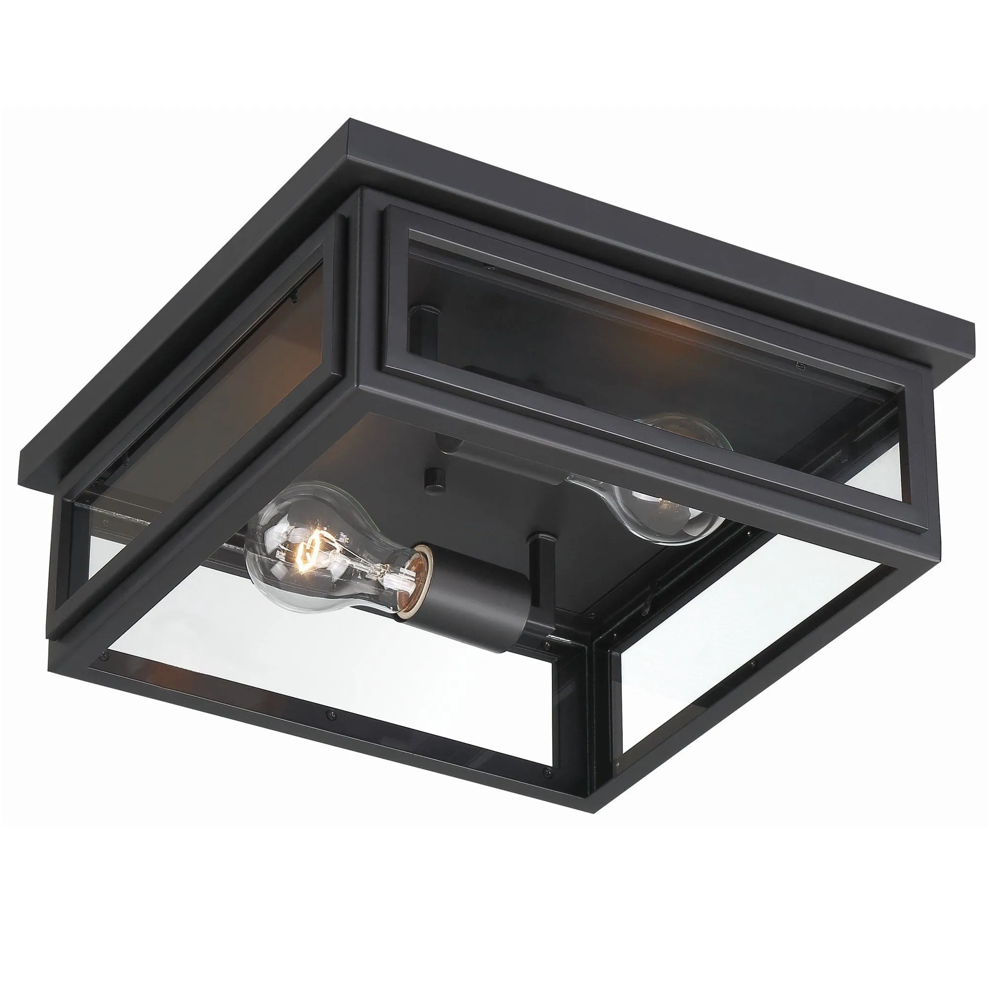 Byron 2 Light Outdoor Ceiling Mount