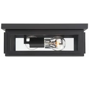 Byron 2 Light Outdoor Ceiling Mount