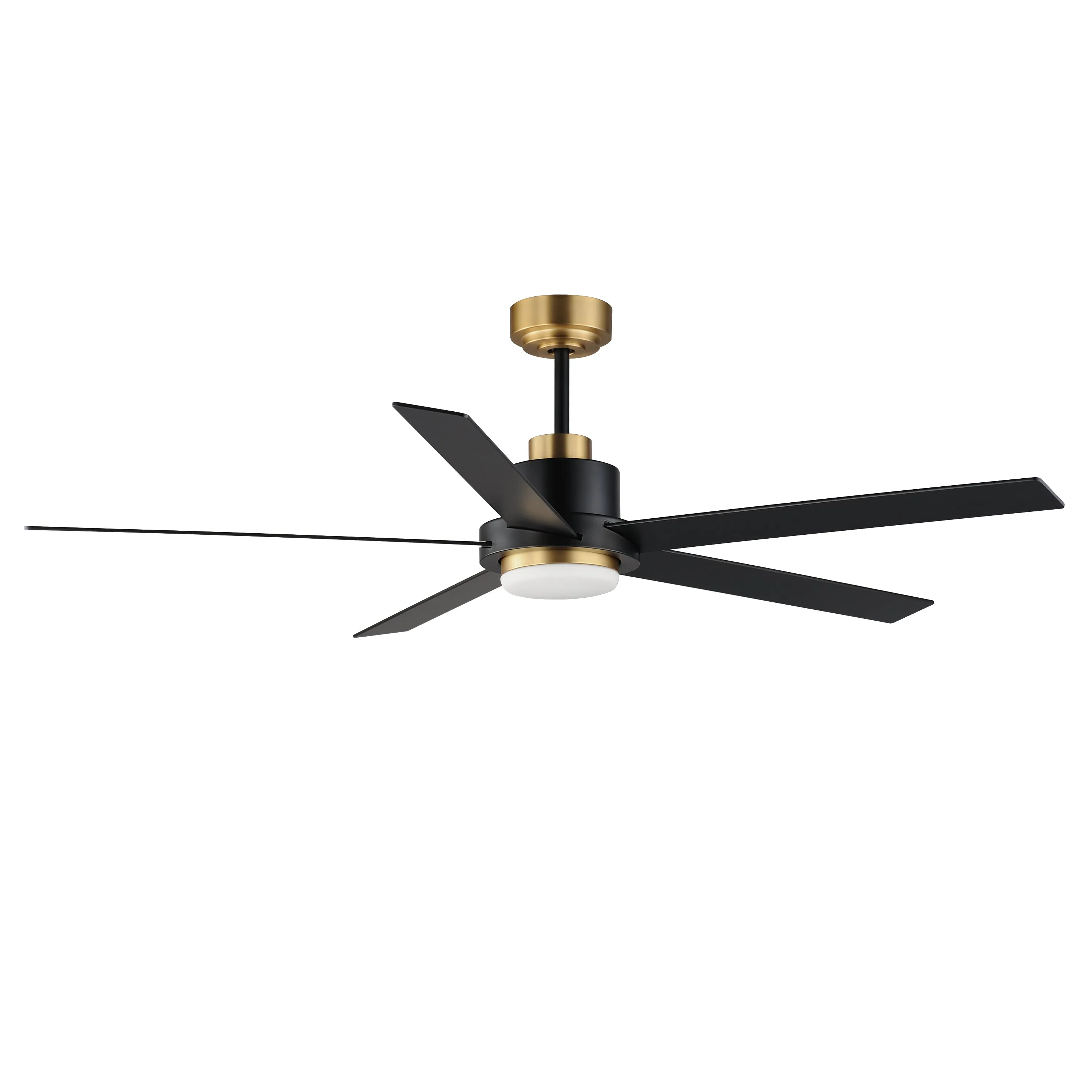 Daisy 60" 5-Blade Fan w LED Light Kit, Black Gold or Satin Nickel Finish