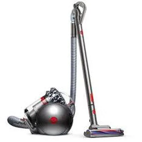 DYSON 214893-01 Cinetic Big Ball Animal Pro