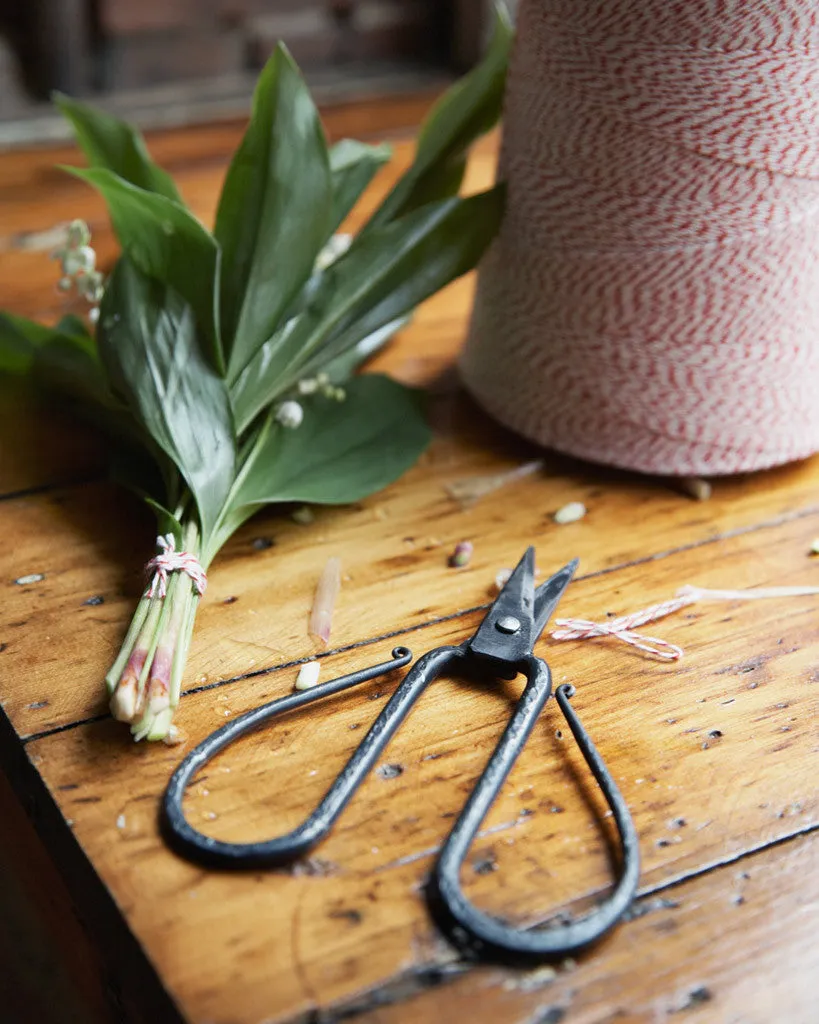 Flower Shears