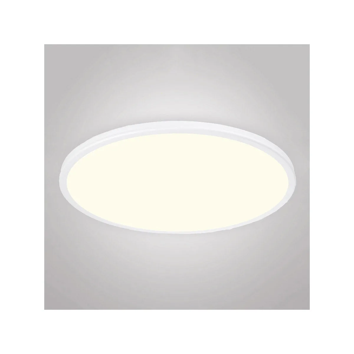 Geos 22 in. LED Disk Light 2700K White Finish