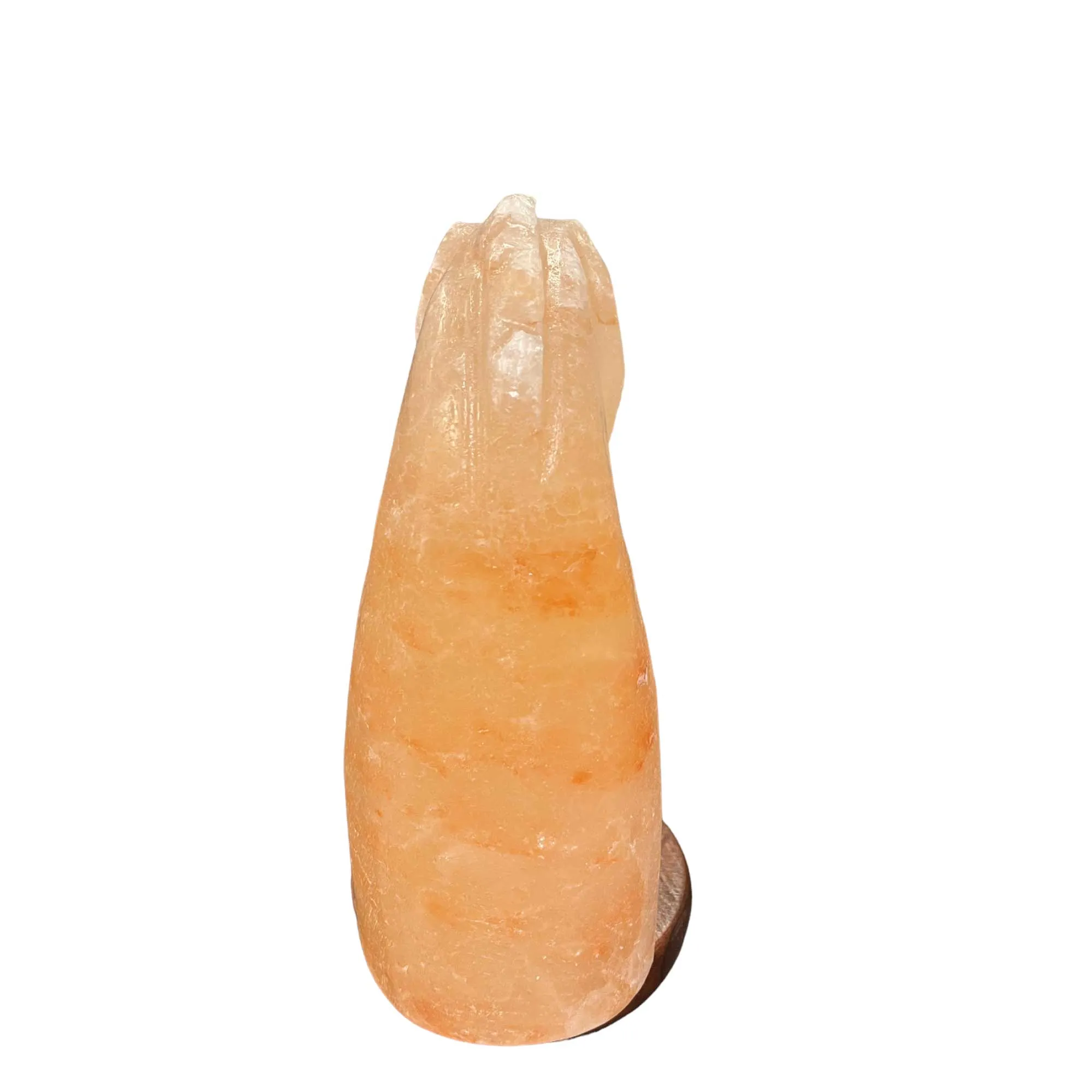 Himalayan Pink Salt Lamp - 12V 12W Knight Horse Shape Carved Crystal Rock