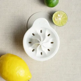 Japanese ceramic citrus/lemon juicer