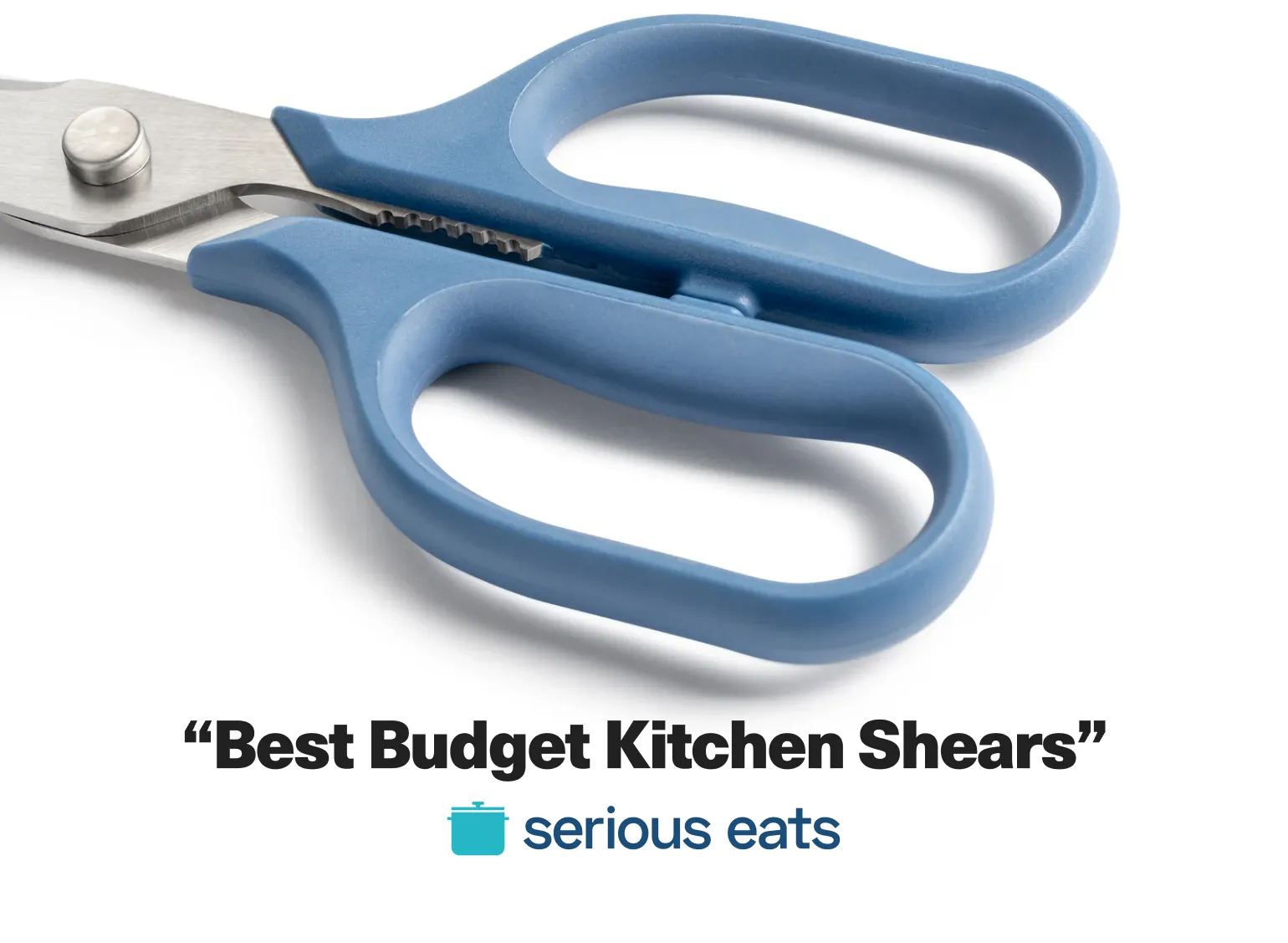 Kitchen Shears