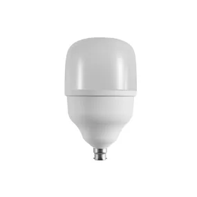 LED Daylight Bulb 60W