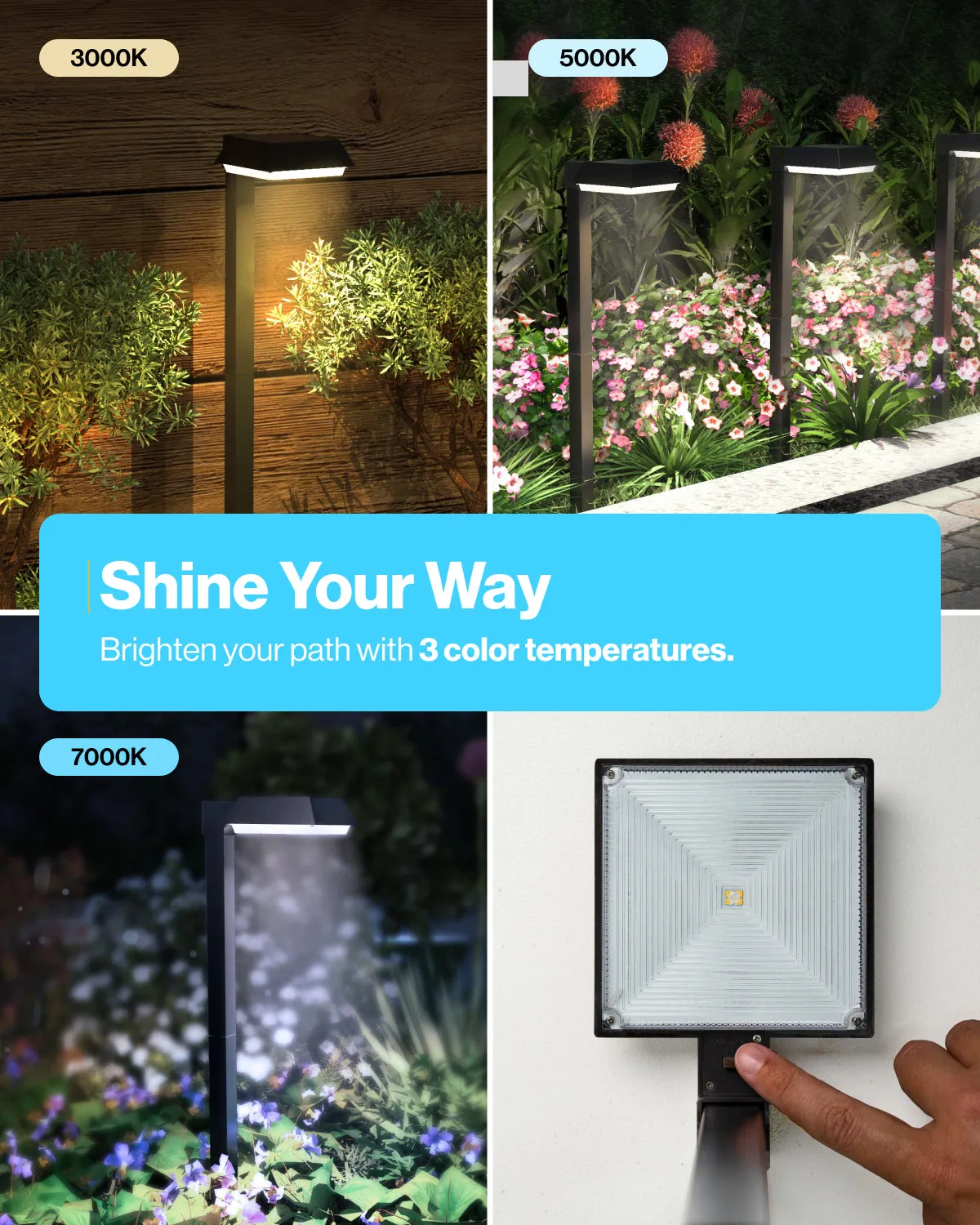 LED Solar Sidewalk Lights, Dusk To Dawn, 150 Lumens