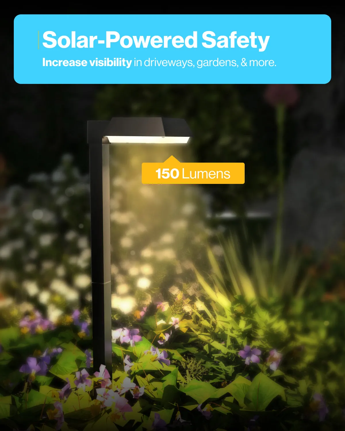 LED Solar Sidewalk Lights, Dusk To Dawn, 150 Lumens