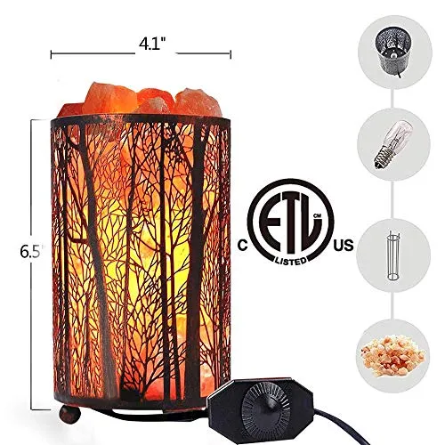 Salt Lamps, Natural Himalayan Salt Lamp, Forest Salt Lamp with Dimmer Switch, Salt Crystal Night Lights, Retro Metal Basket Decor Desk Lamp with Extra 25W Lamp Bulbs (Retro Red)