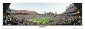 Super Bowl XXX (Tempe 1996) Dallas Cowboys vs. Pittsburgh Steelers Panoramic Poster Print - Everlasting Images