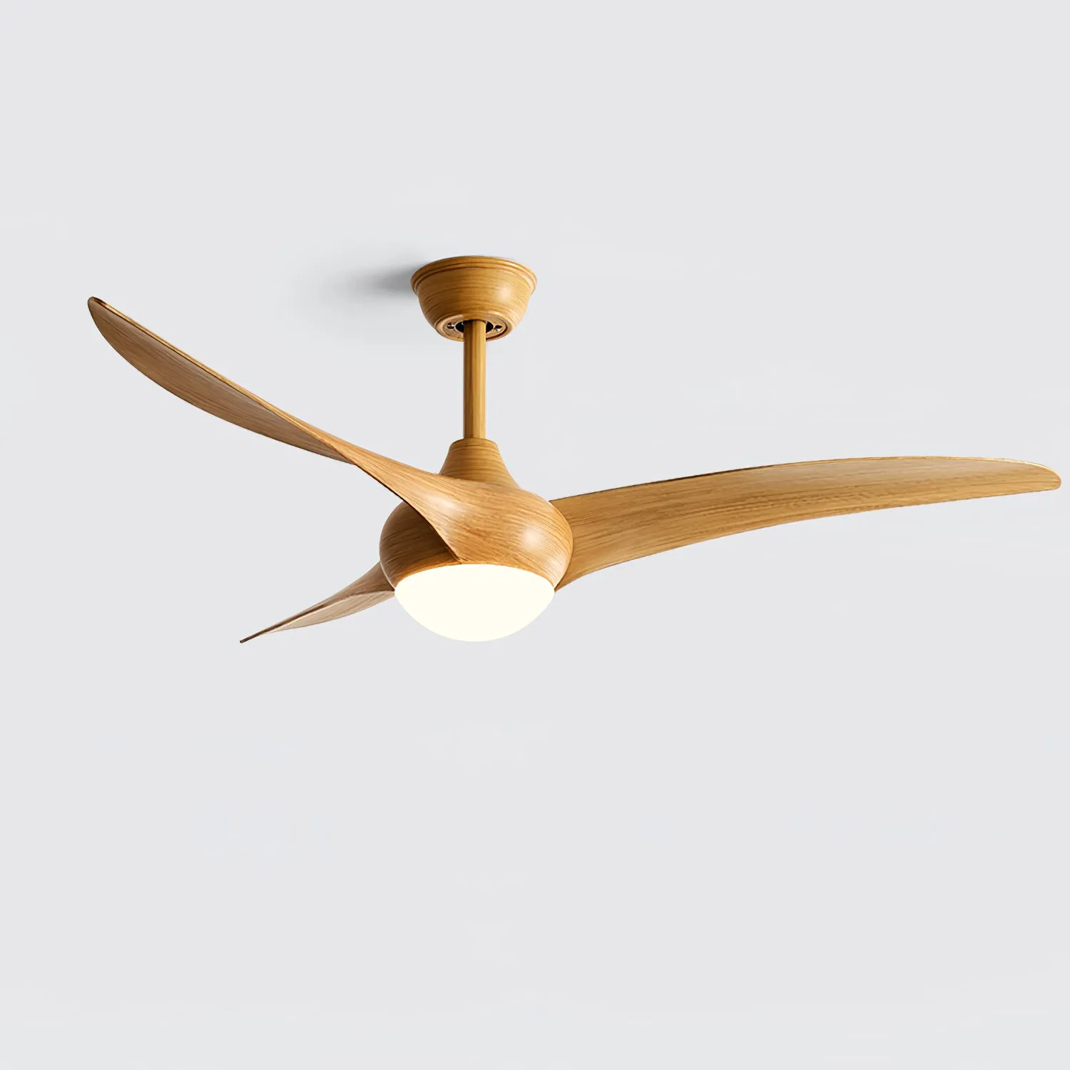 Traditional Ceiling Fan Light